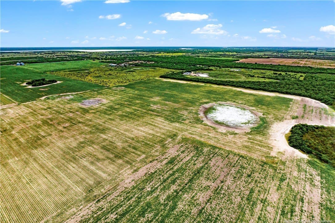 20 acres in Kleberg County gallery image 4
