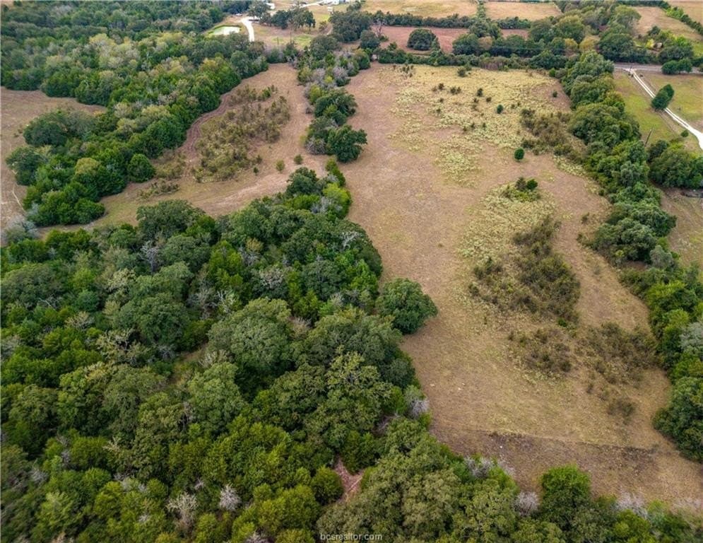 15 acres in Brazos County - photo 4