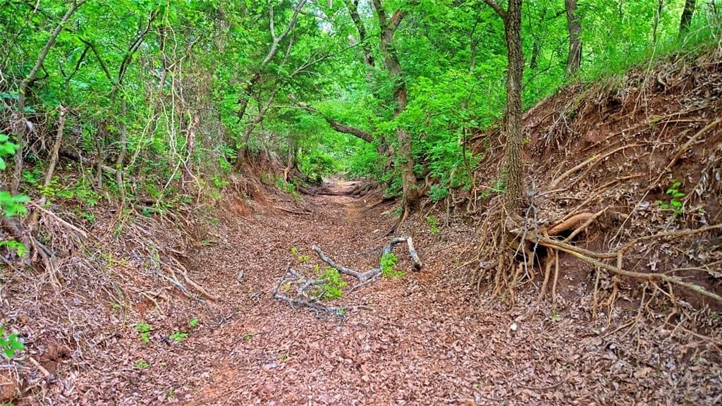20.22 acres in Montague County featured view