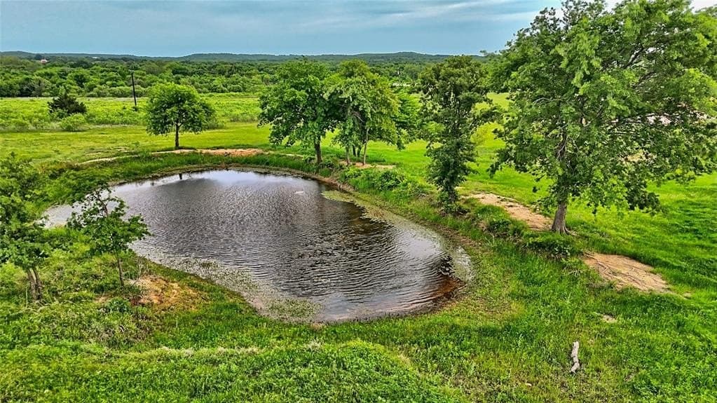 20.22 acres in Montague County gallery image 2