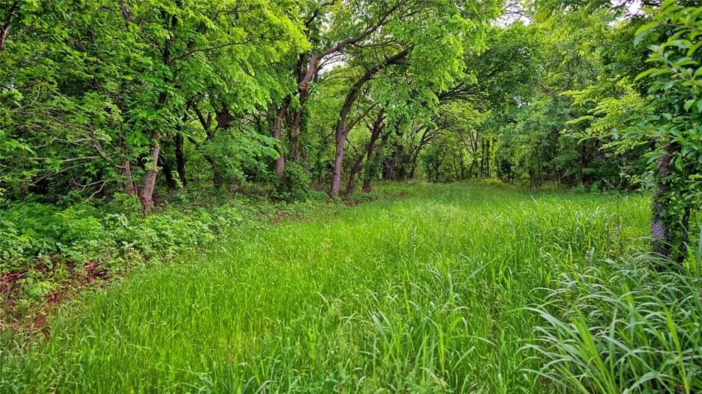 20.22 acres in Montague County gallery image 3