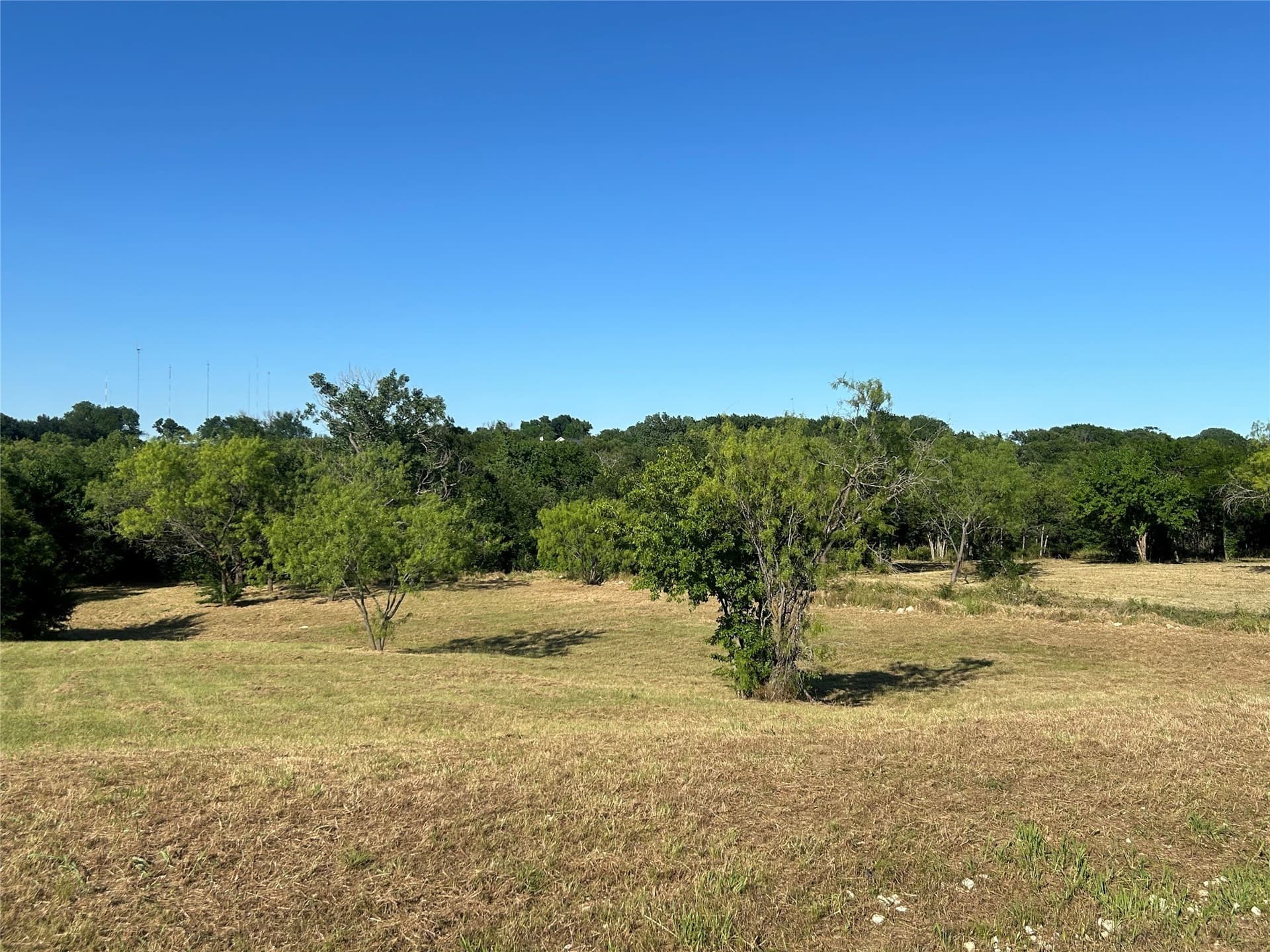 3036 Koscher Drive