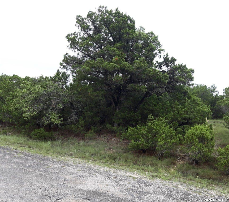 0.29 acres in Travis County gallery image 2
