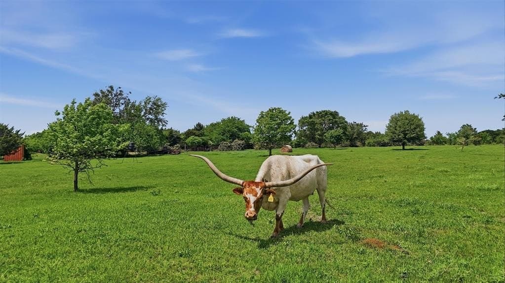 13.65 acres in Grayson County gallery image 3