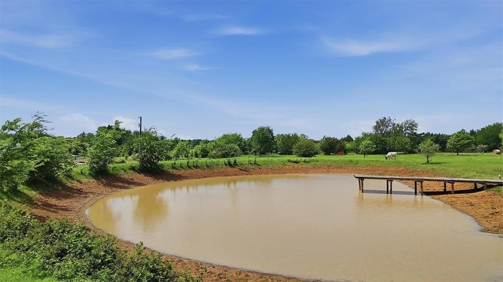 13.65 acres in Grayson County gallery image 4