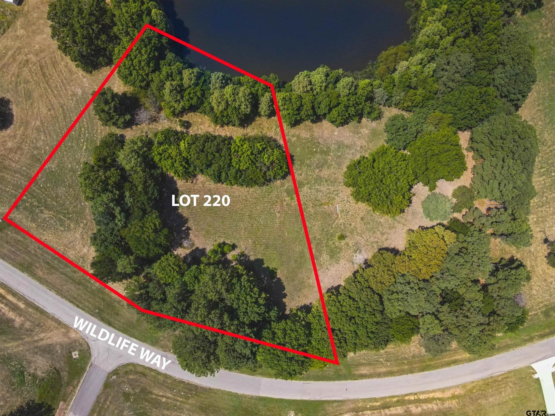 2.02 acres in Henderson County - photo 9
