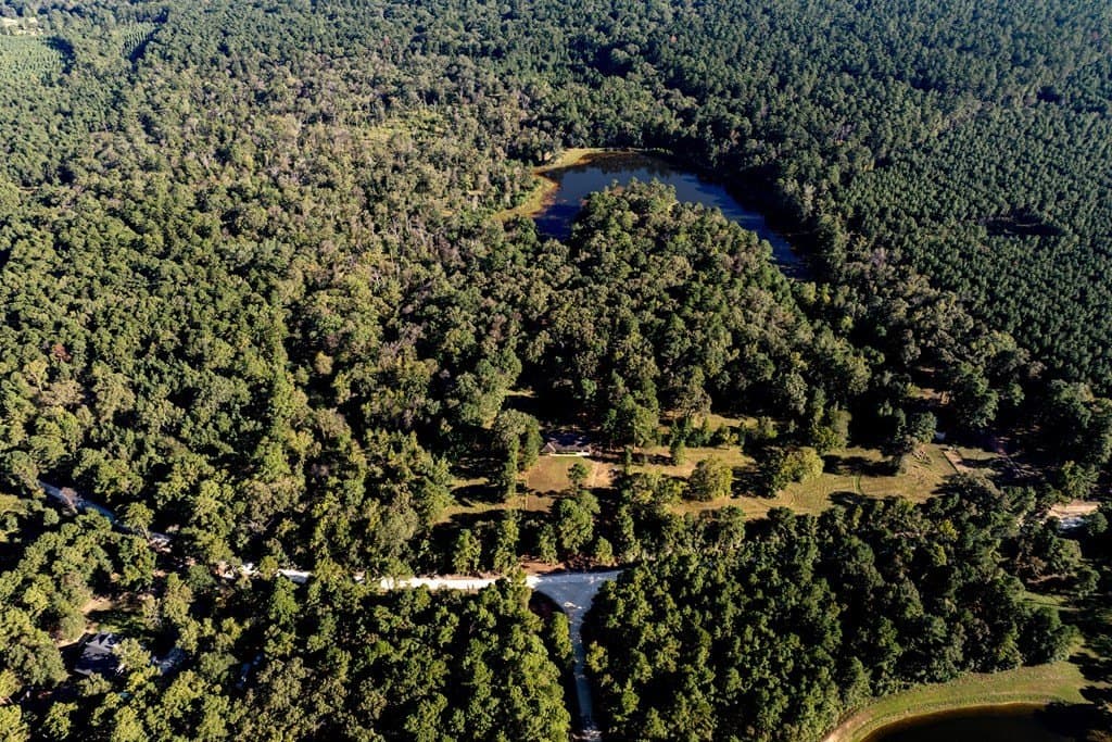 50 acres in HOUSTON County gallery image 4