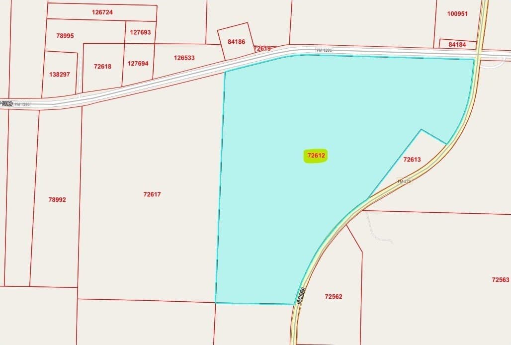 82.3 acres in Fannin County gallery image 4