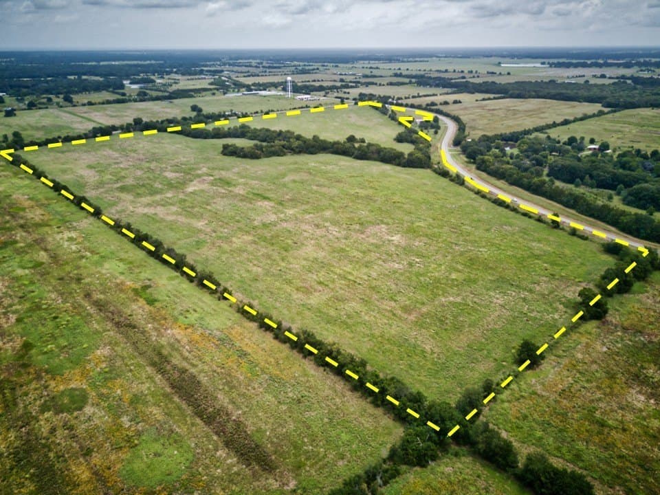 82.3 acres in Fannin County gallery image 3