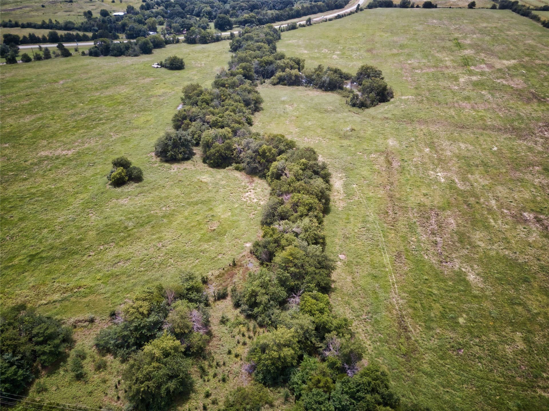 82.3 acres in Fannin County - photo 15