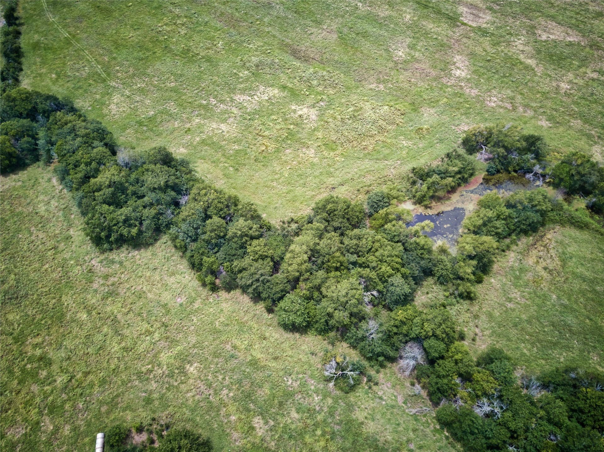 82.3 acres in Fannin County - photo 16