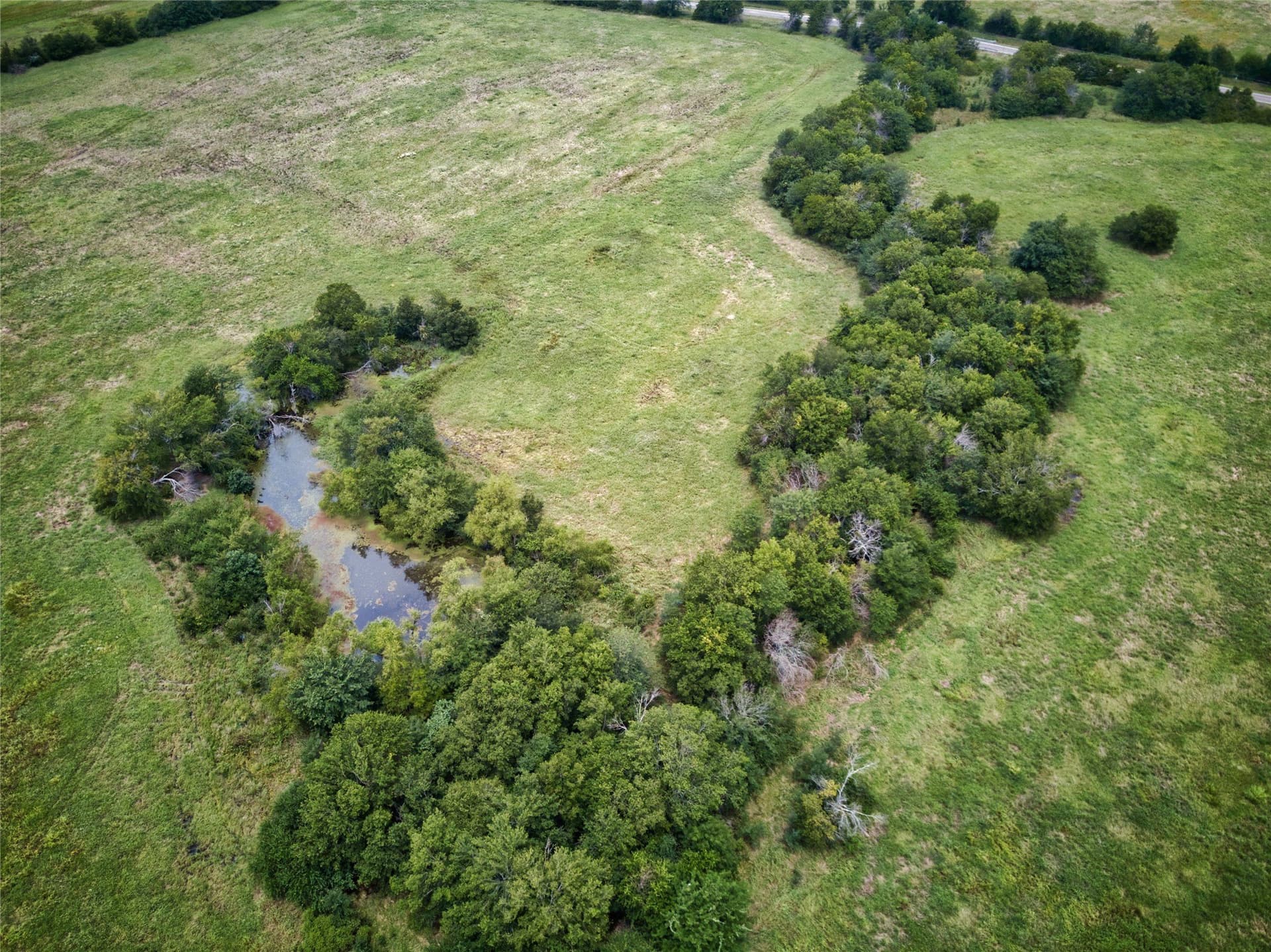 82.3 acres in Fannin County - photo 9