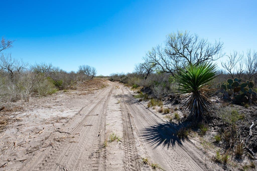 553.66 acres in Duval County - photo 8