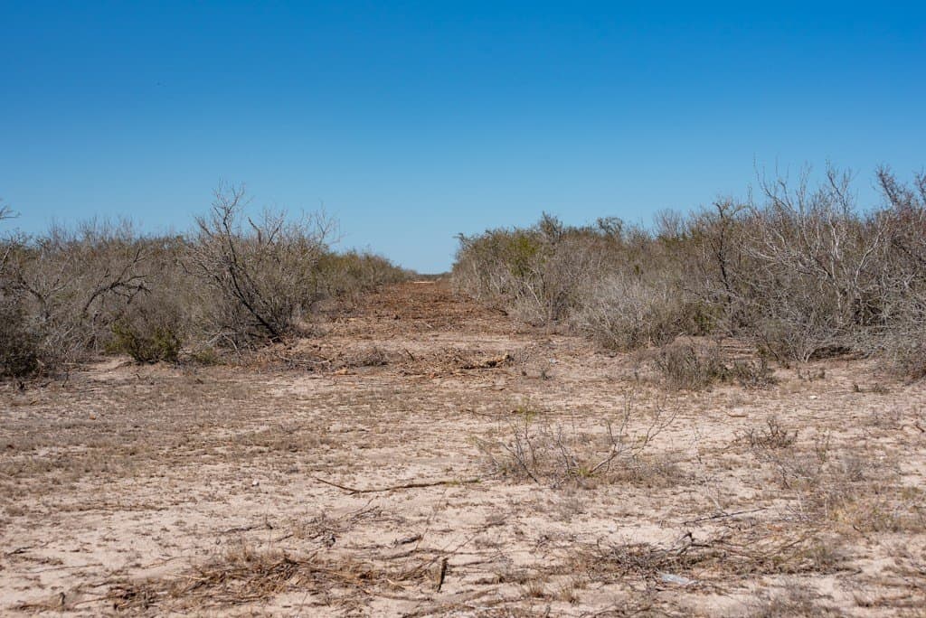 553.66 acres in Duval County - photo 14