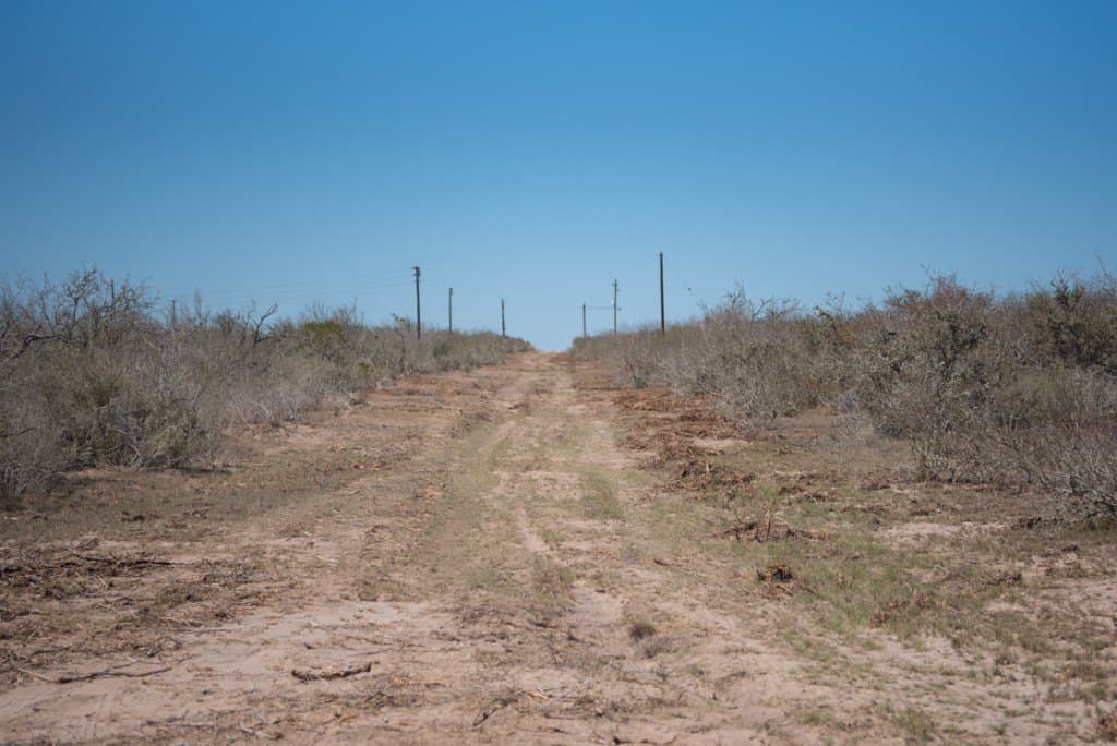 553.66 acres in Duval County - photo 11