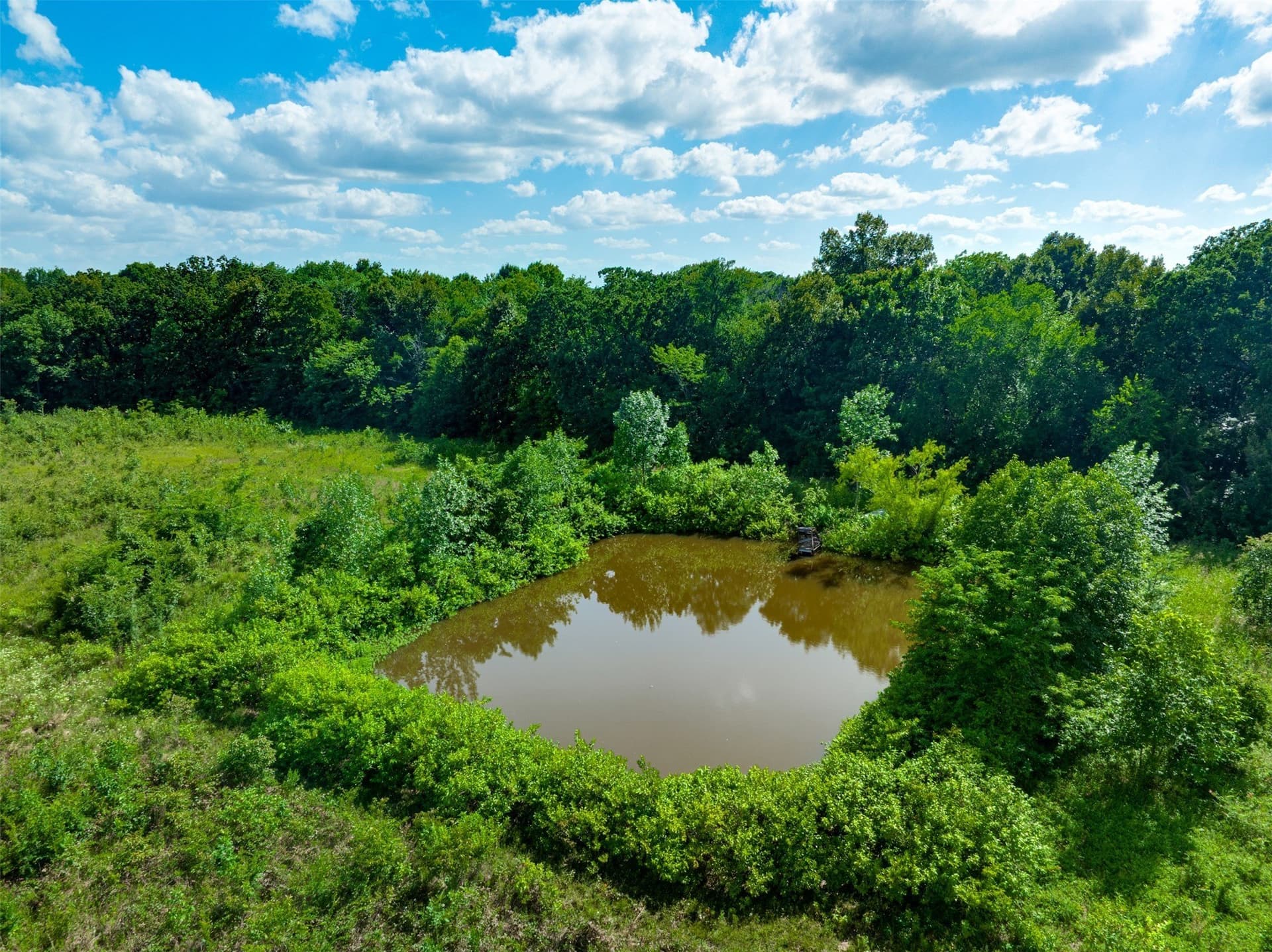43.1 acres in Lamar County featured view