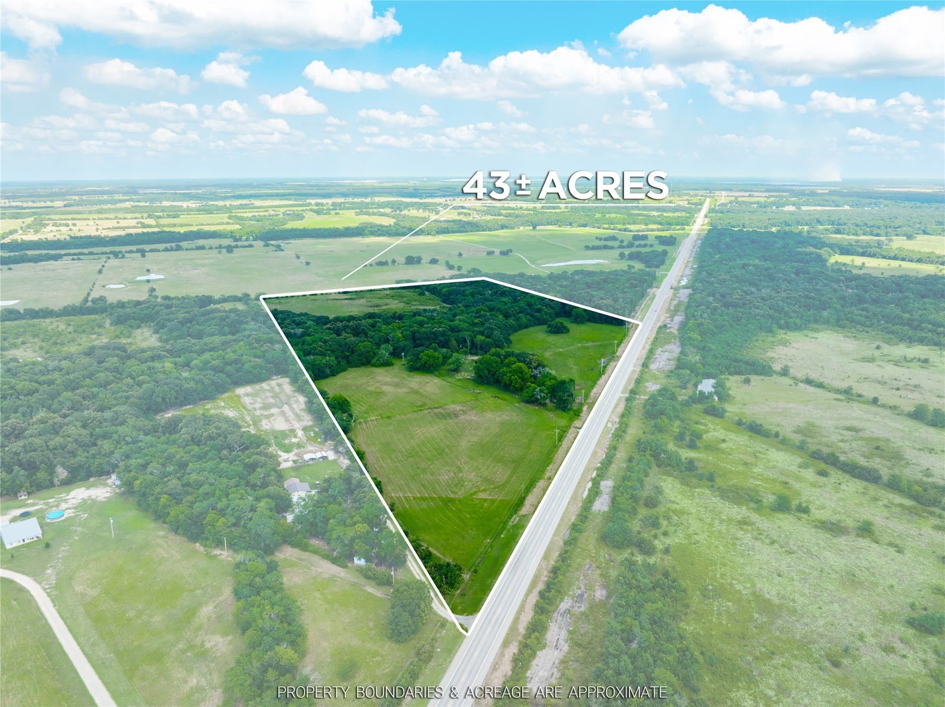 43.1 acres in Lamar County gallery image 2