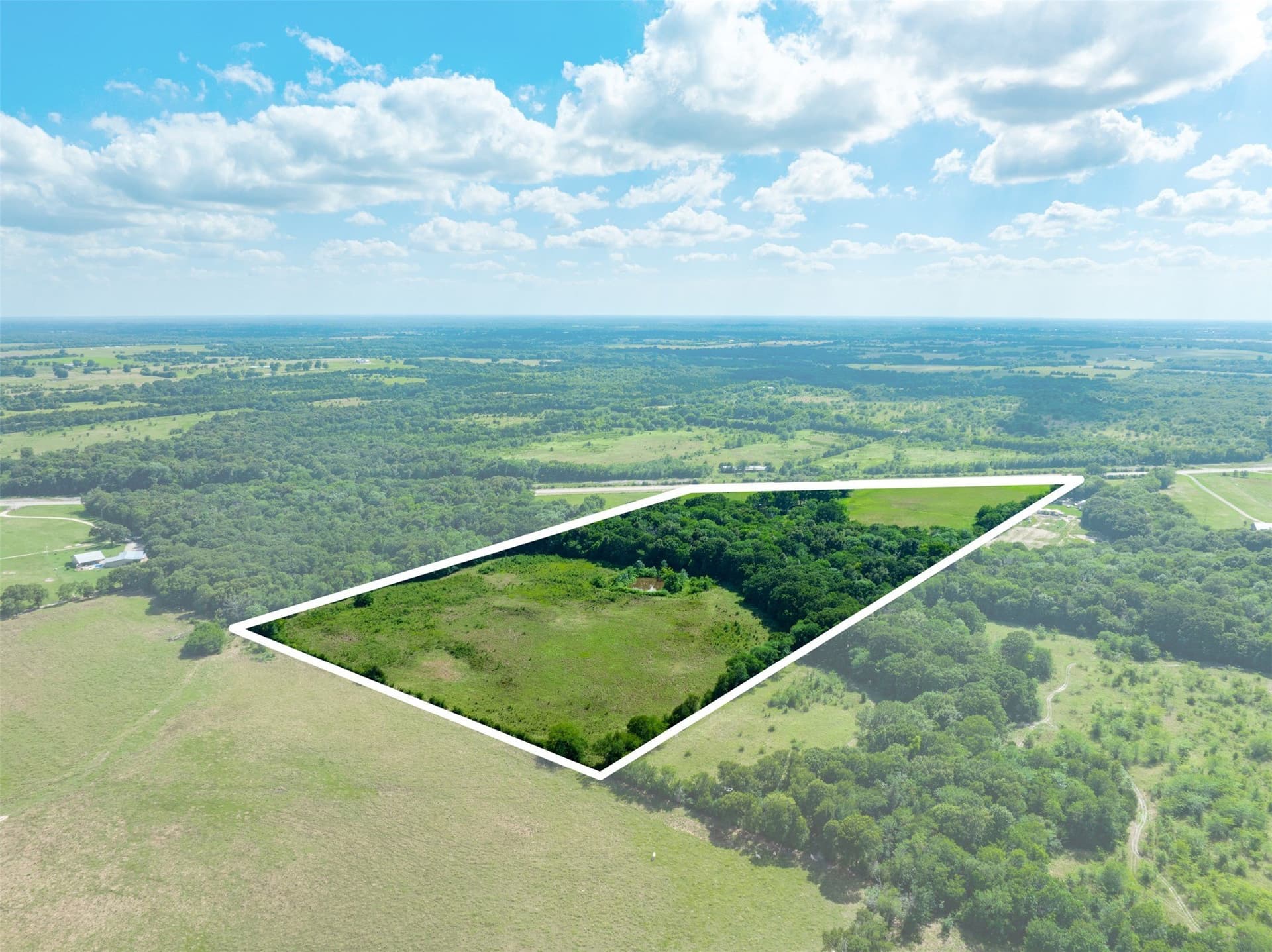 43.1 acres in Lamar County gallery image 4