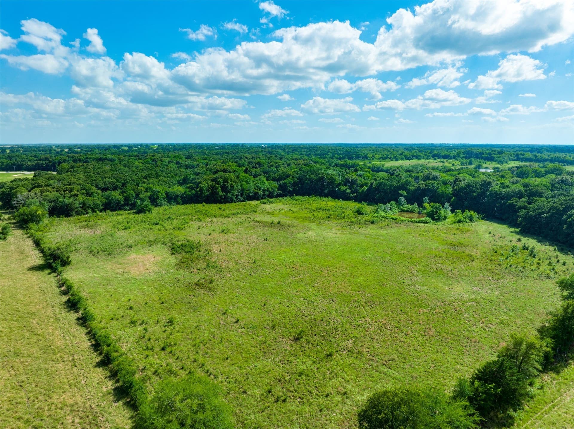 43.1 acres in Lamar County gallery image 4