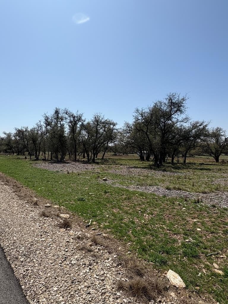 5.61 acres in Gillespie County - photo 10