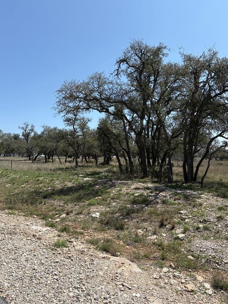 5.61 acres in Gillespie County - photo 21