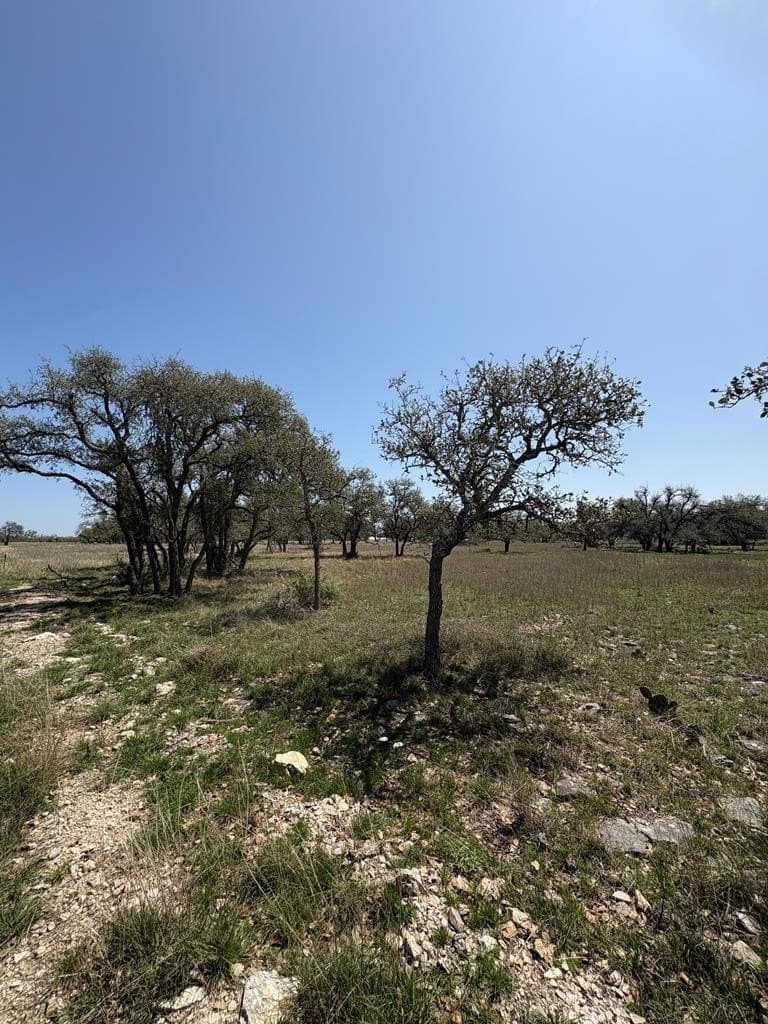 5.61 acres in Gillespie County - photo 23