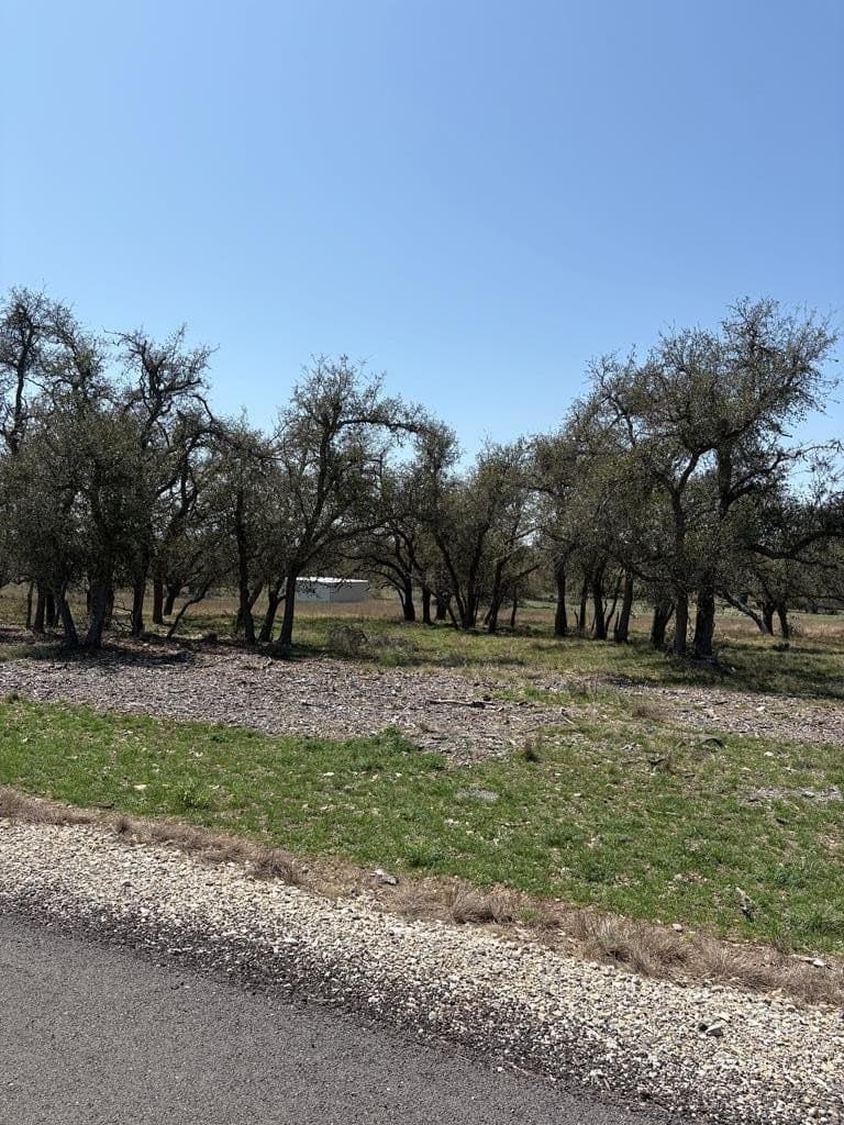5.61 acres in Gillespie County featured view