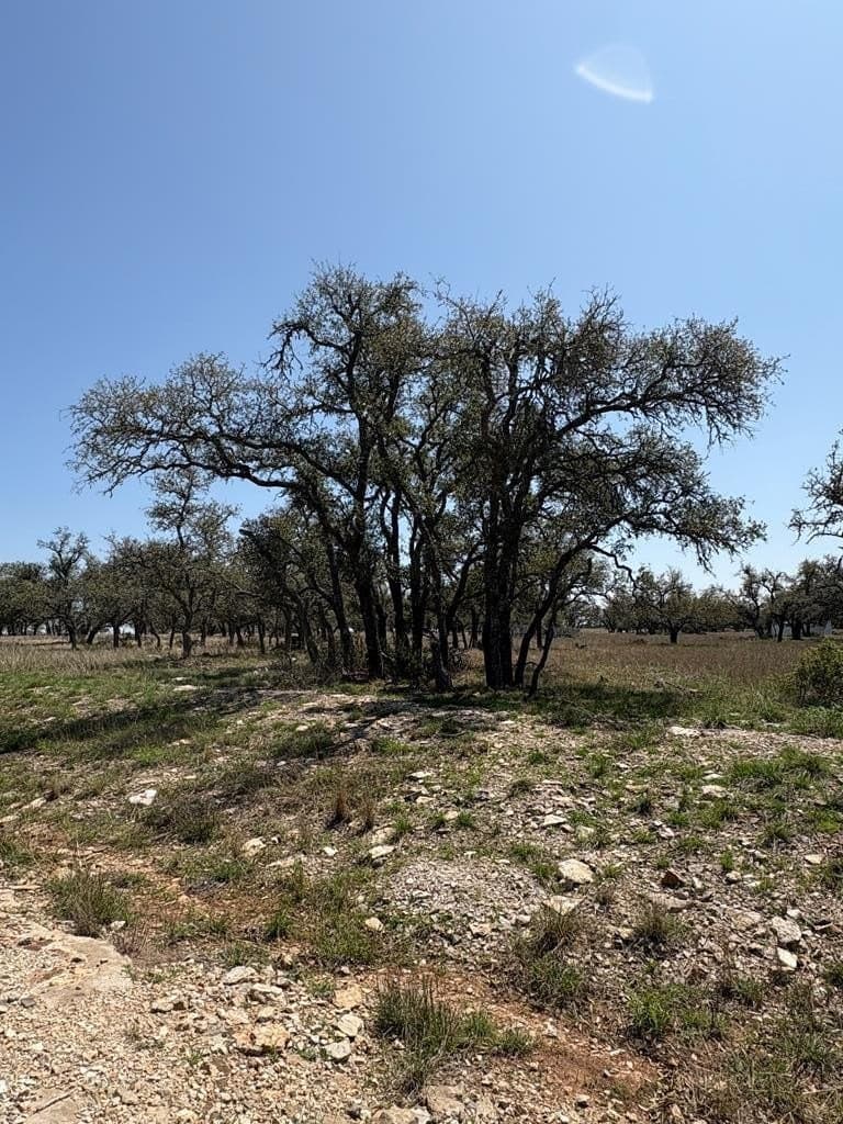 5.61 acres in Gillespie County - photo 22
