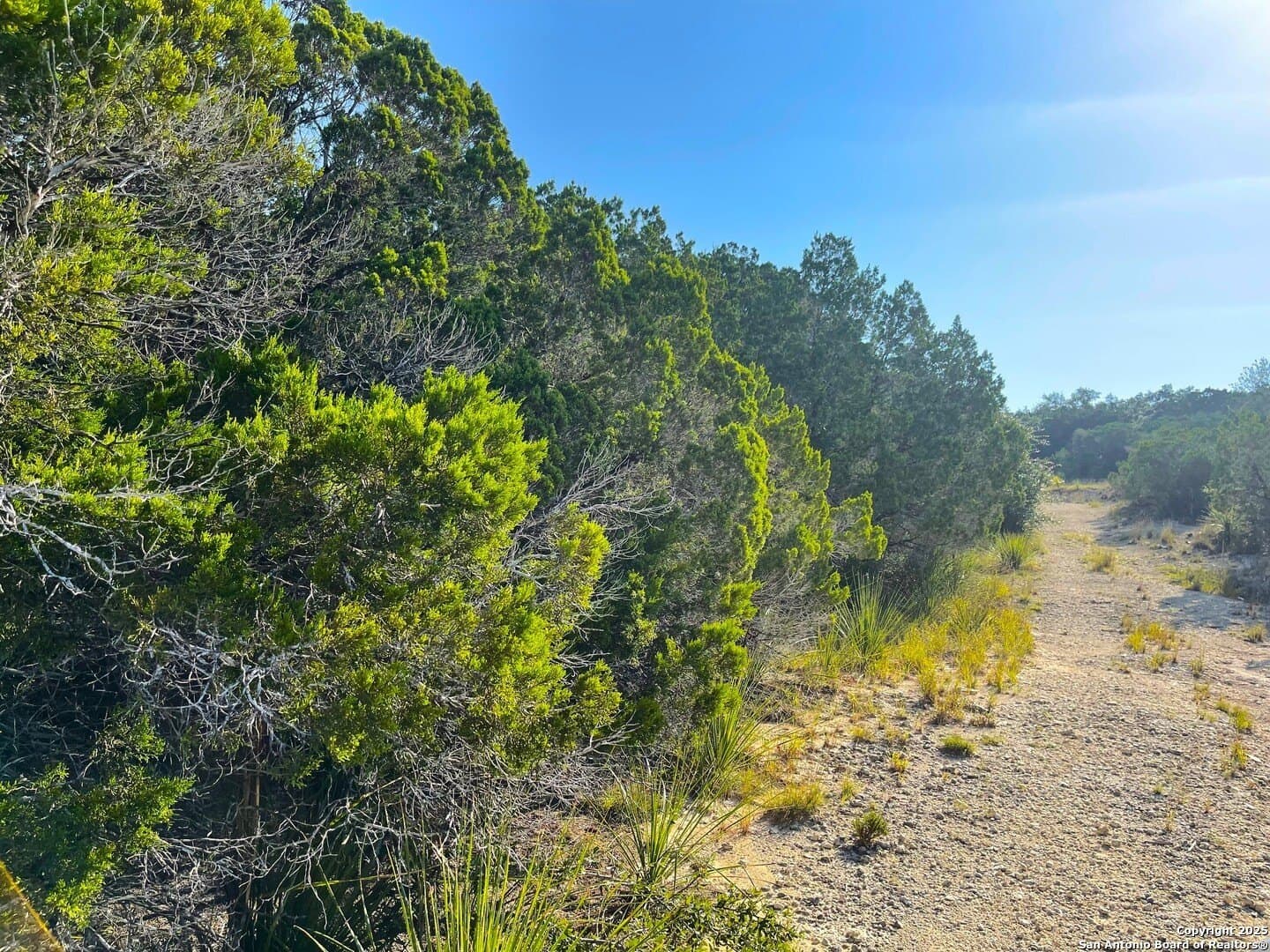 0.62 acres in Bandera County - photo 6