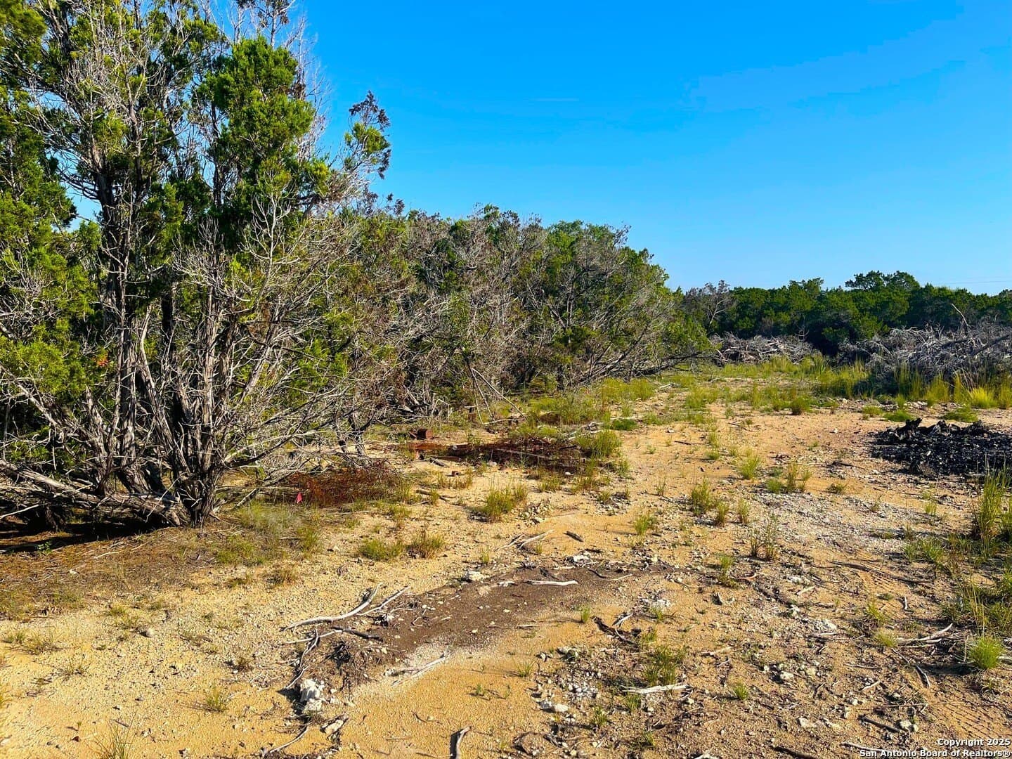 0.62 acres in Bandera County gallery image 2