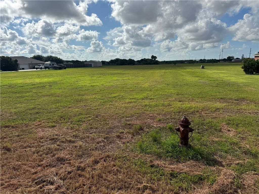 2.5 acres in San Patricio County gallery image 2