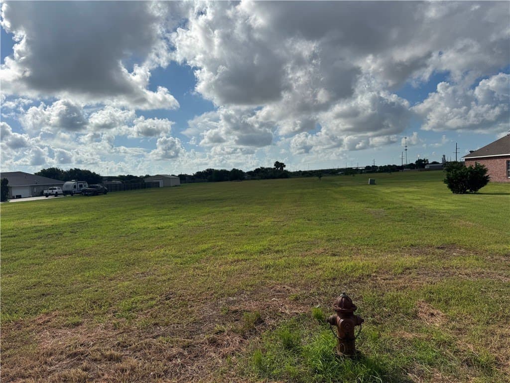 2.5 acres in San Patricio County gallery image 3