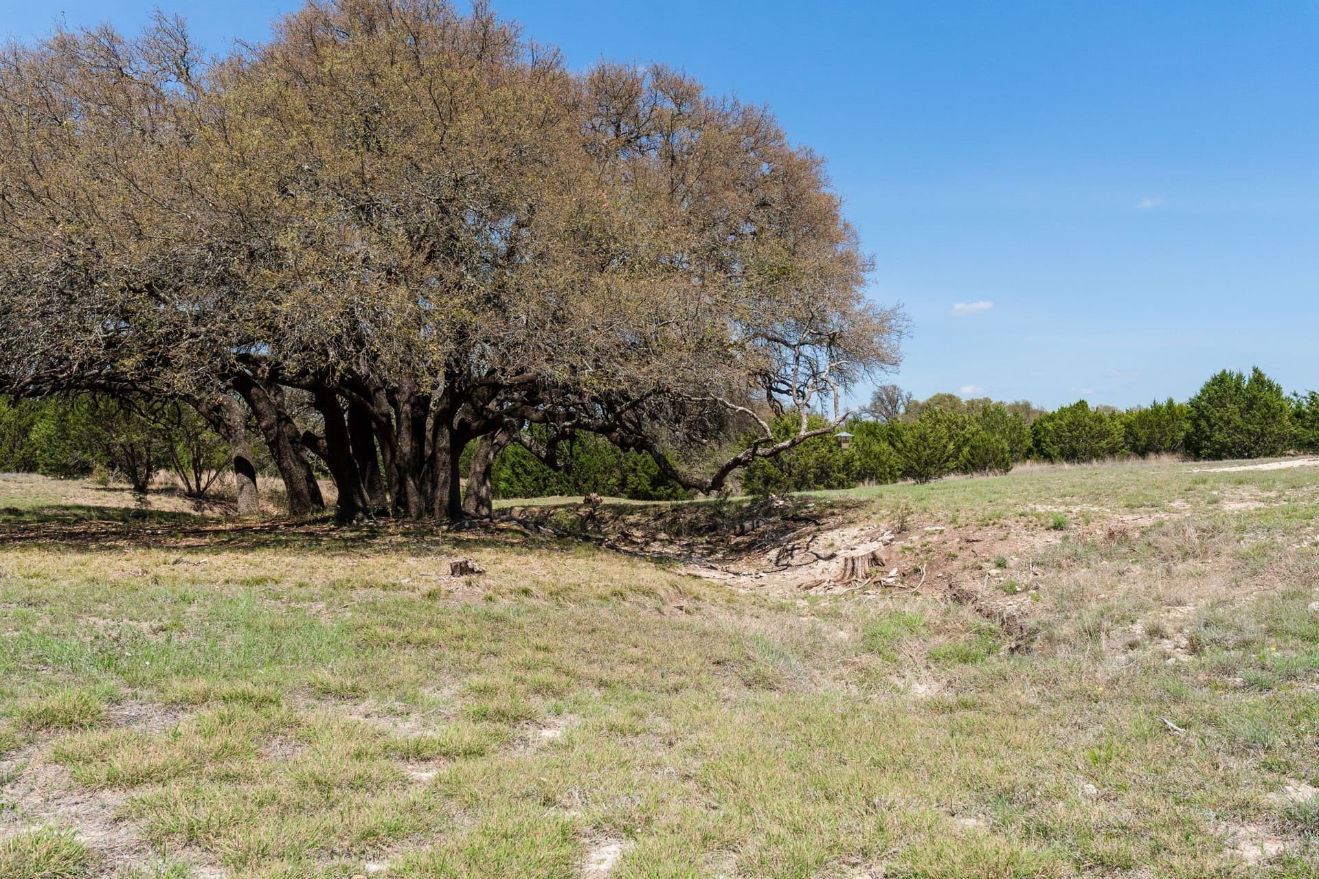 15.25 acres in Mills County - photo 37