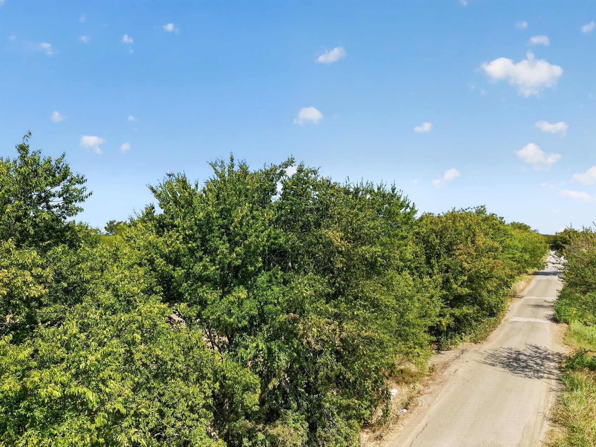 9.19 acres in Hunt County - photo 18