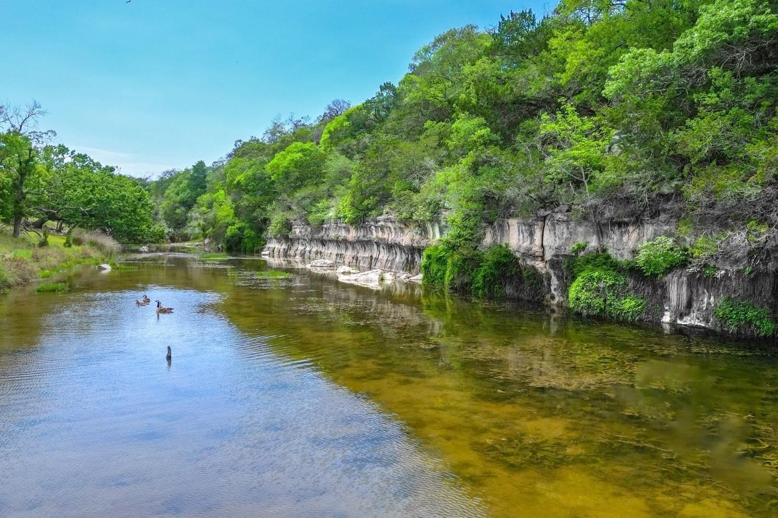 10.57 acres in Gillespie County gallery image 3
