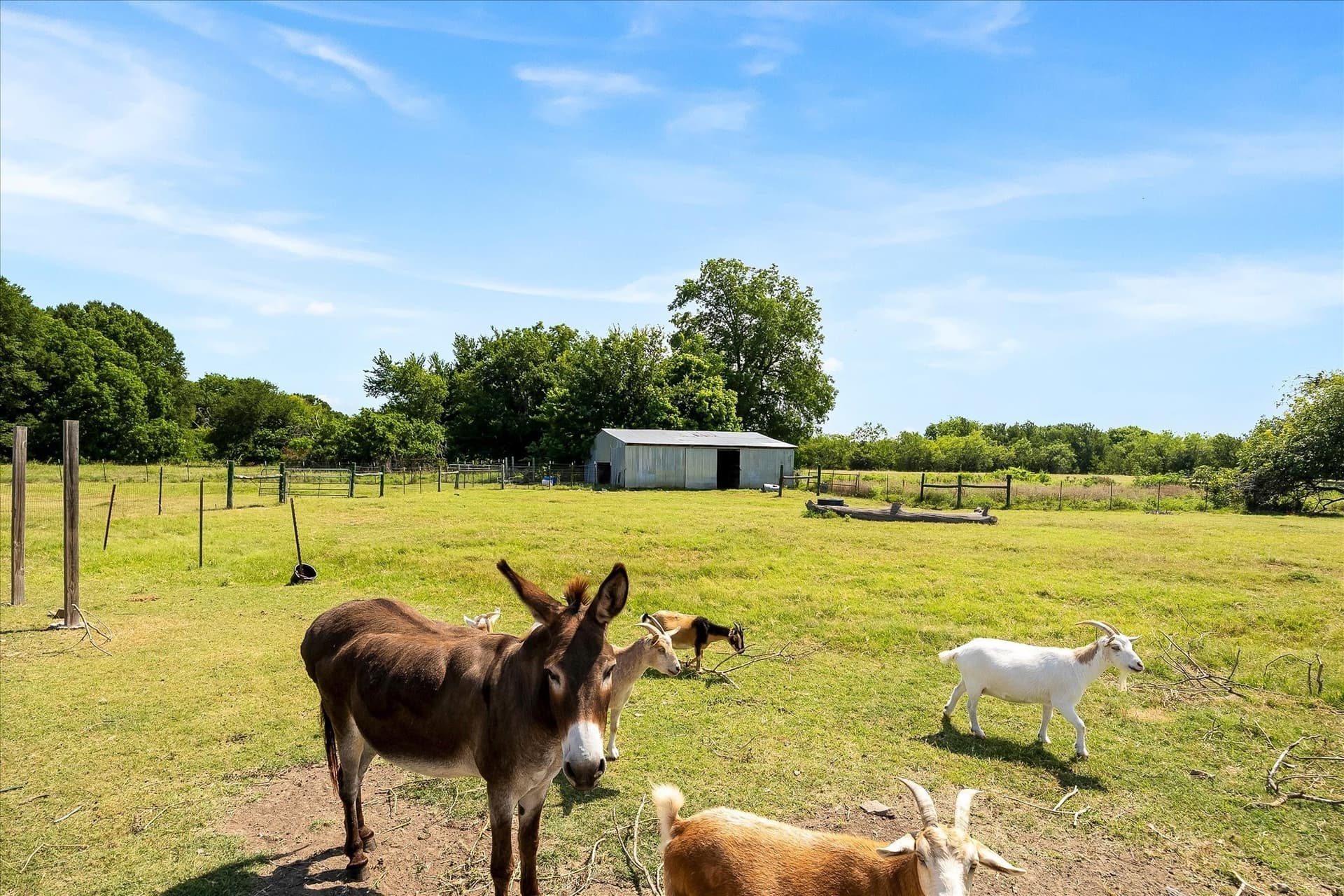 16.59 acres in Kaufman County - photo 34
