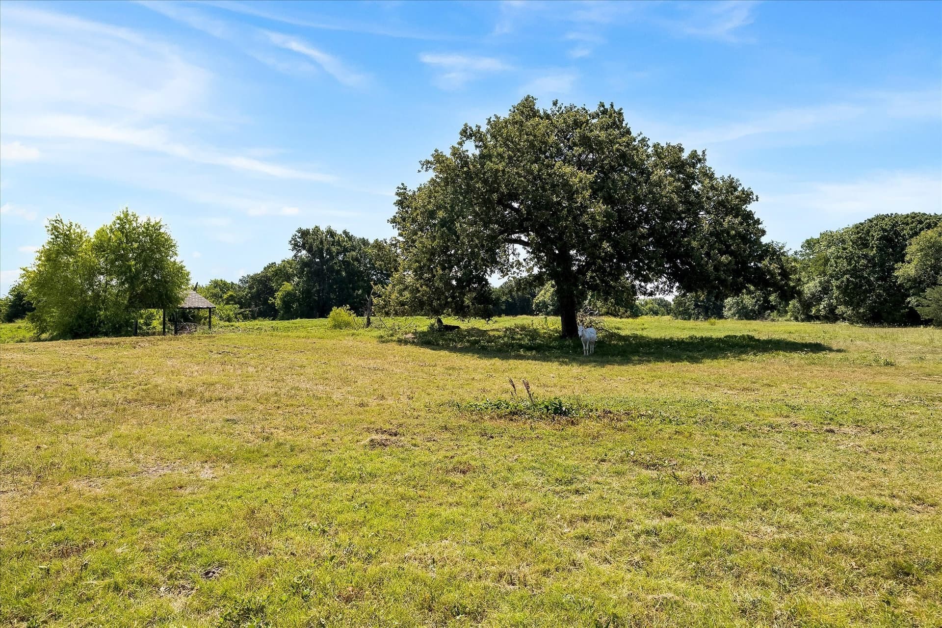 16.59 acres in Kaufman County - photo 38