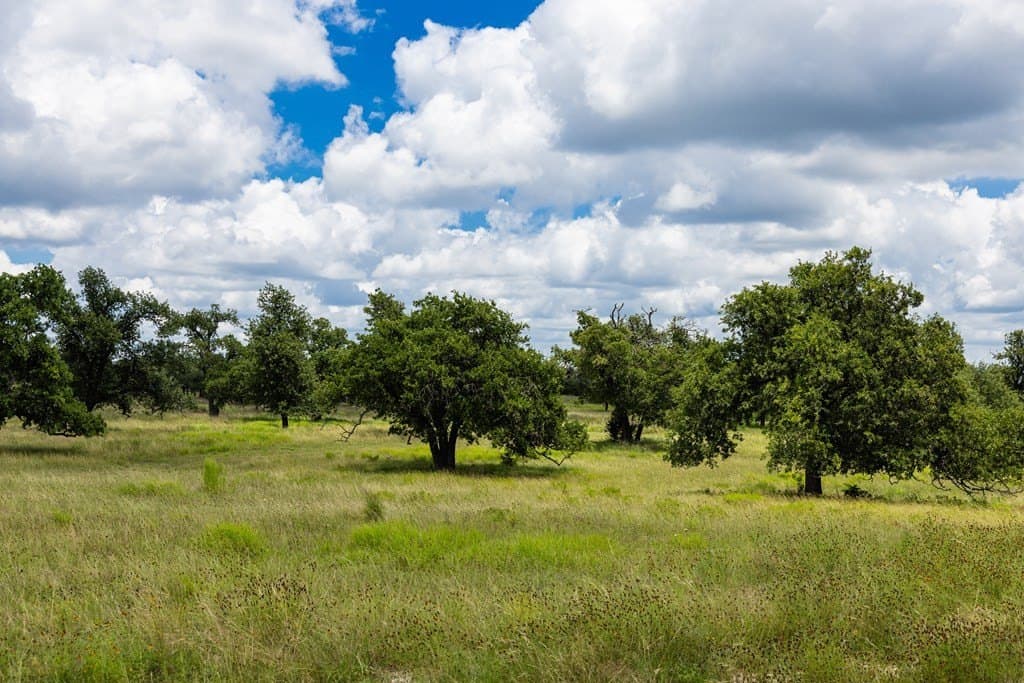 10.8 acres in Gillespie County gallery image 3