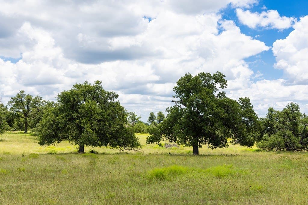 10.8 acres in Gillespie County gallery image 4
