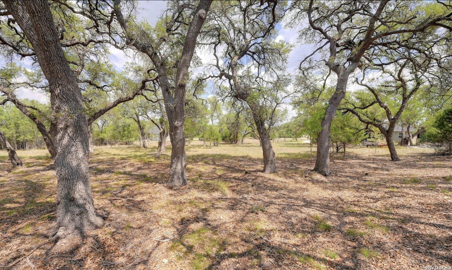 1.01 acres in Blanco County gallery image 2