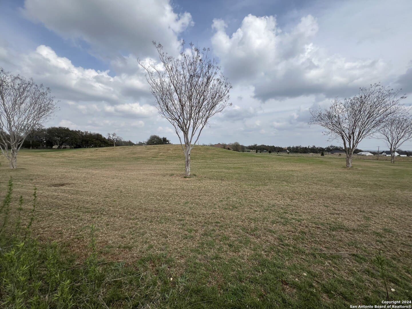 0.3 acres in Blanco County - photo 10