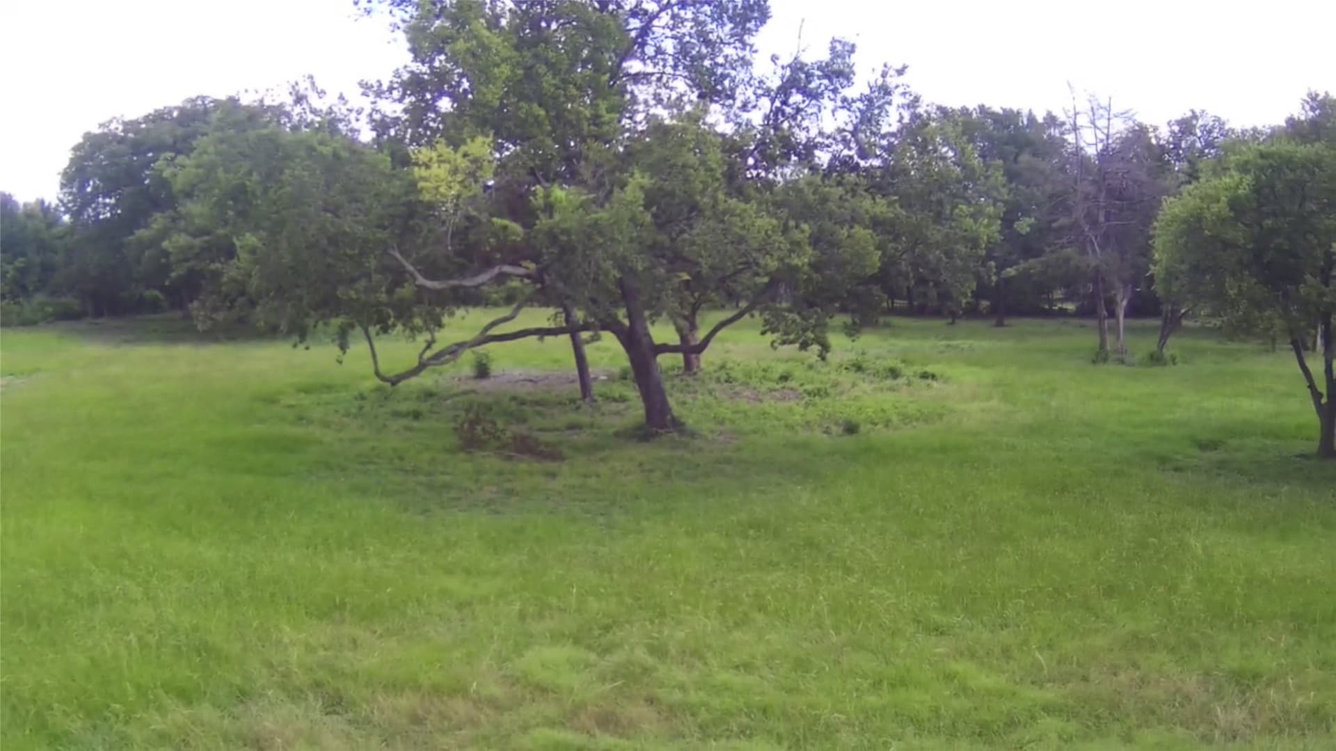 0.5 acres in Dallas County gallery image 3