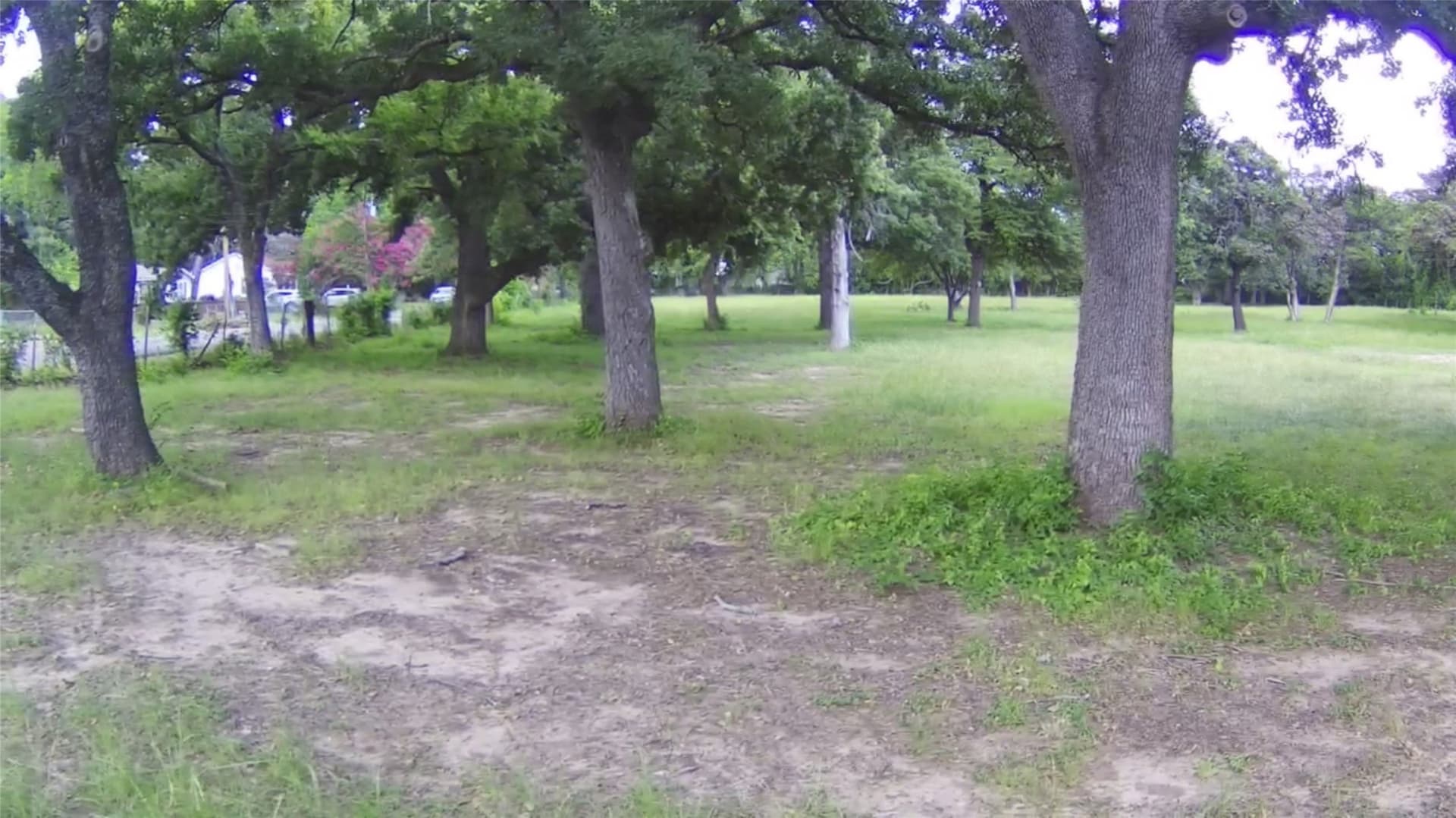 0.5 acres in Dallas County - photo 8