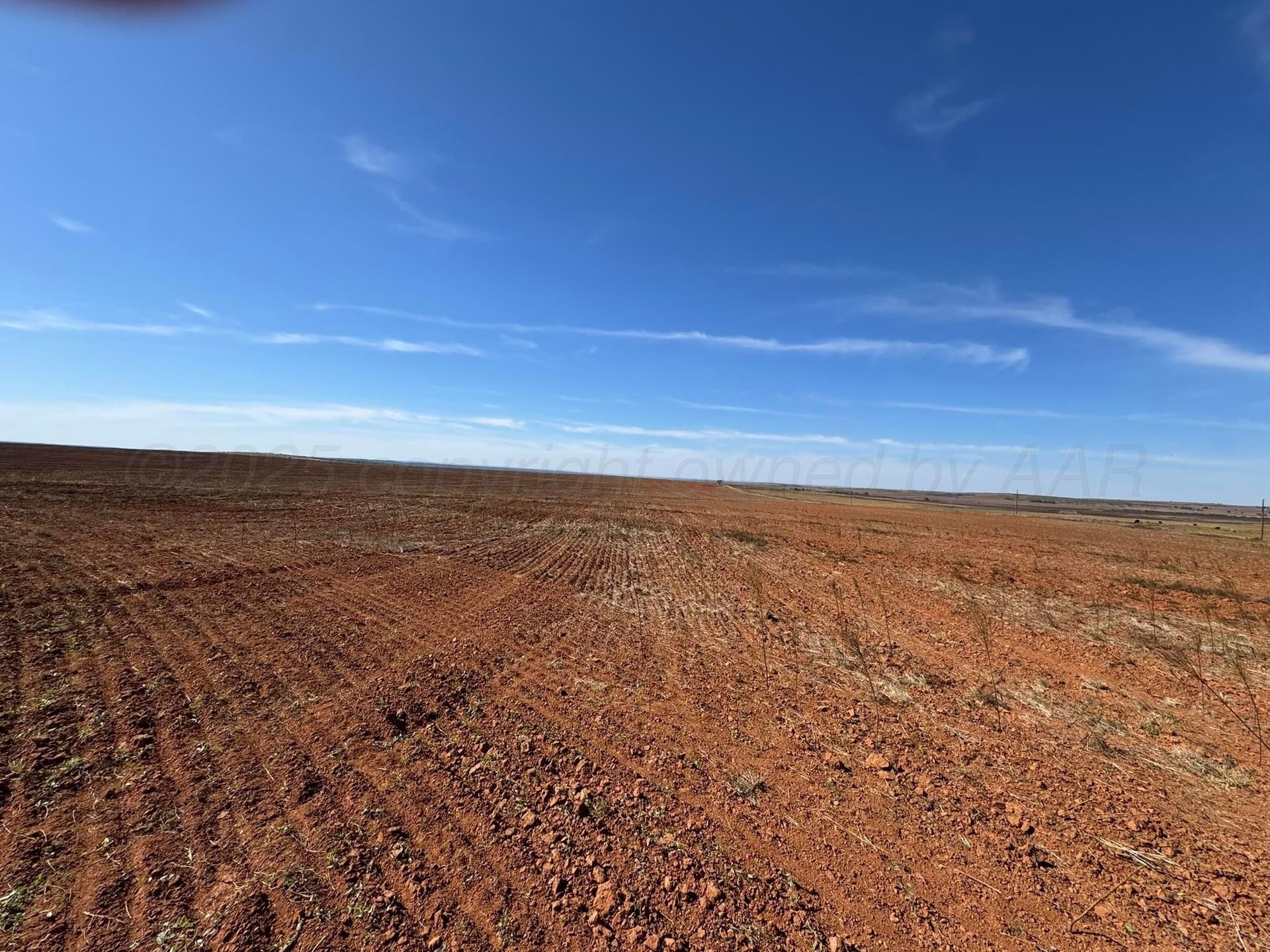 160 acres in Hall County gallery image 3