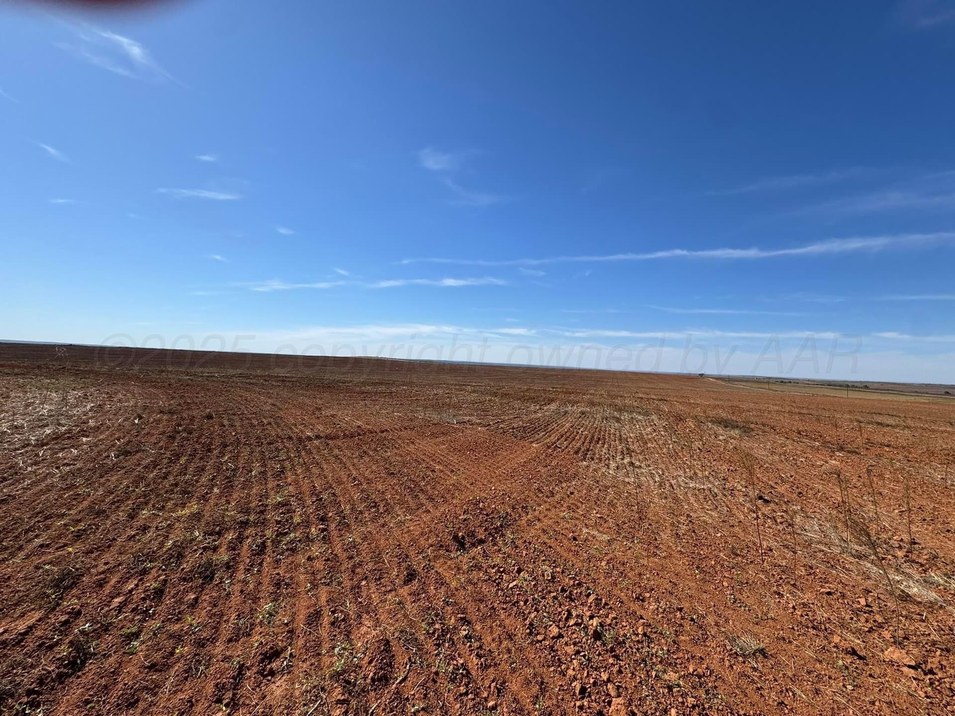 160 acres in Hall County gallery image 2