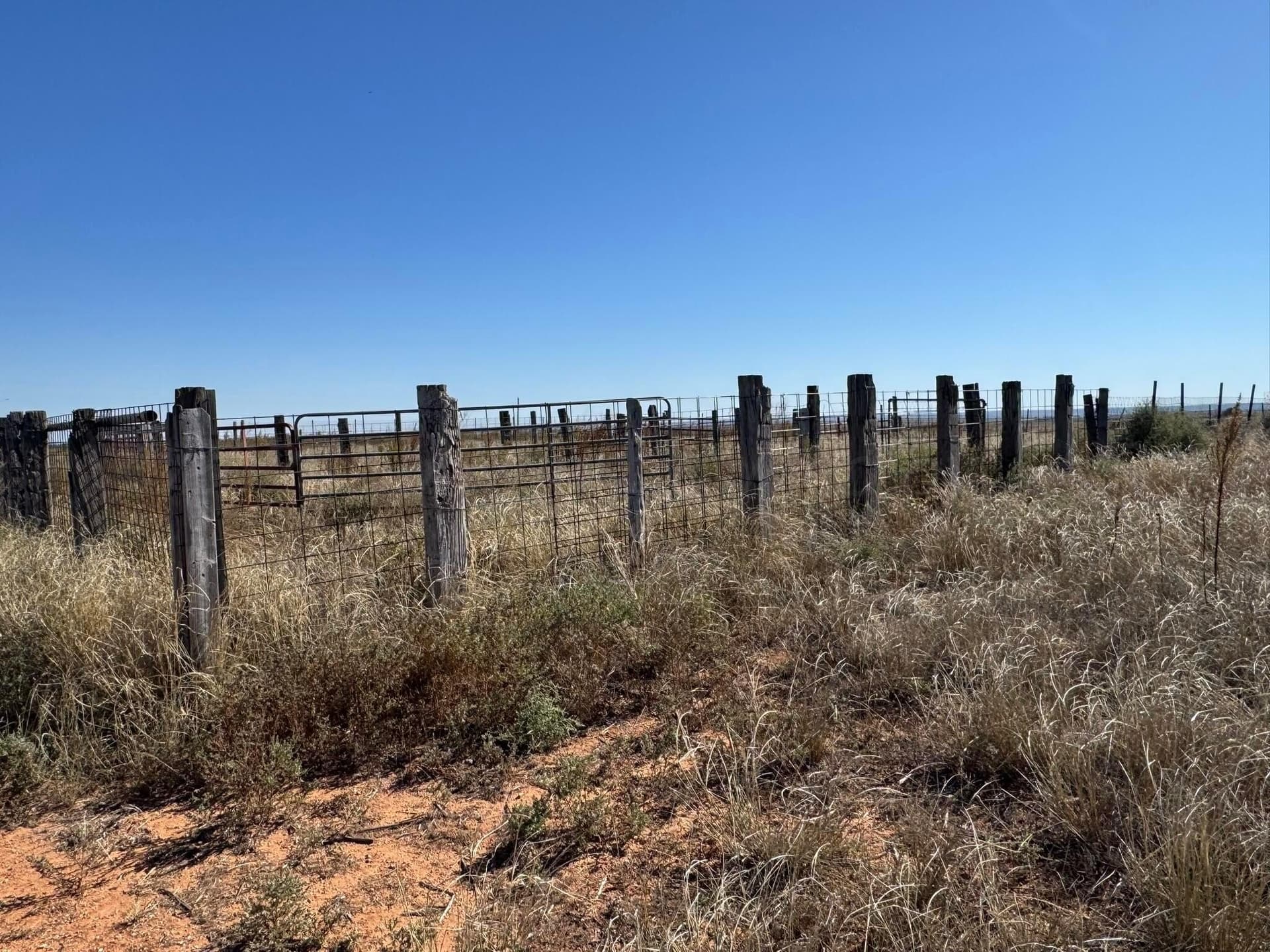 160 acres in Hall County featured view