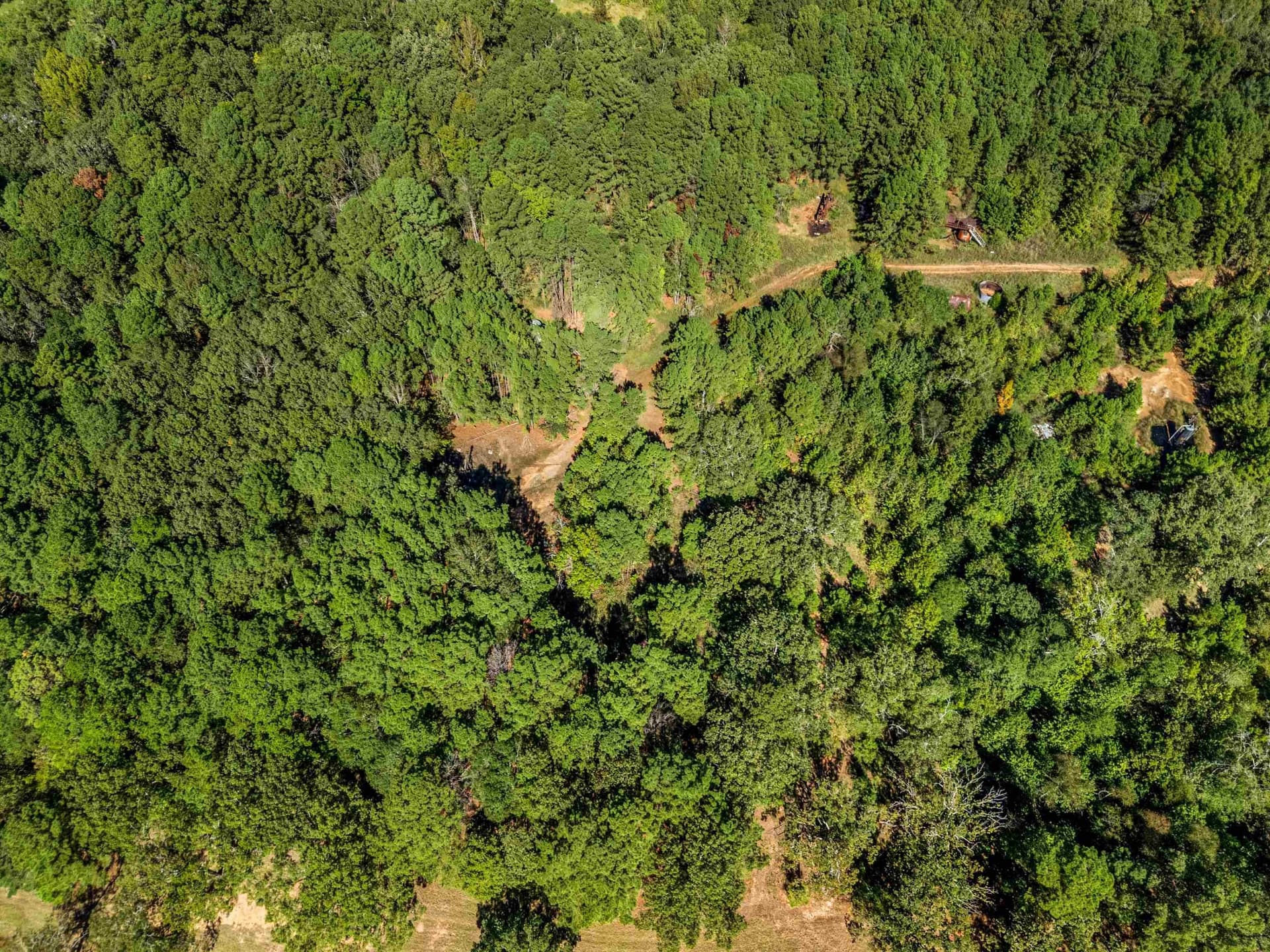 21.23 acres in Texas County - photo 7