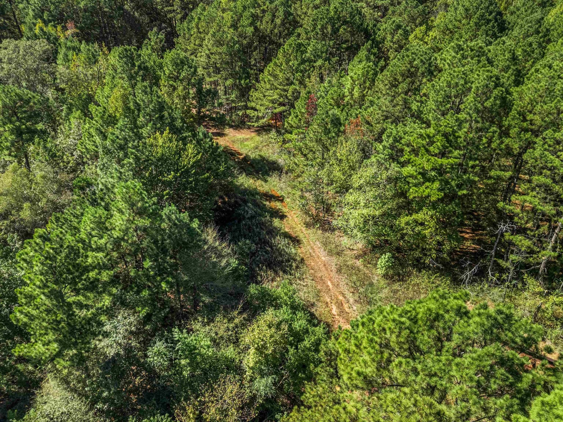 21.23 acres in Texas County - photo 12
