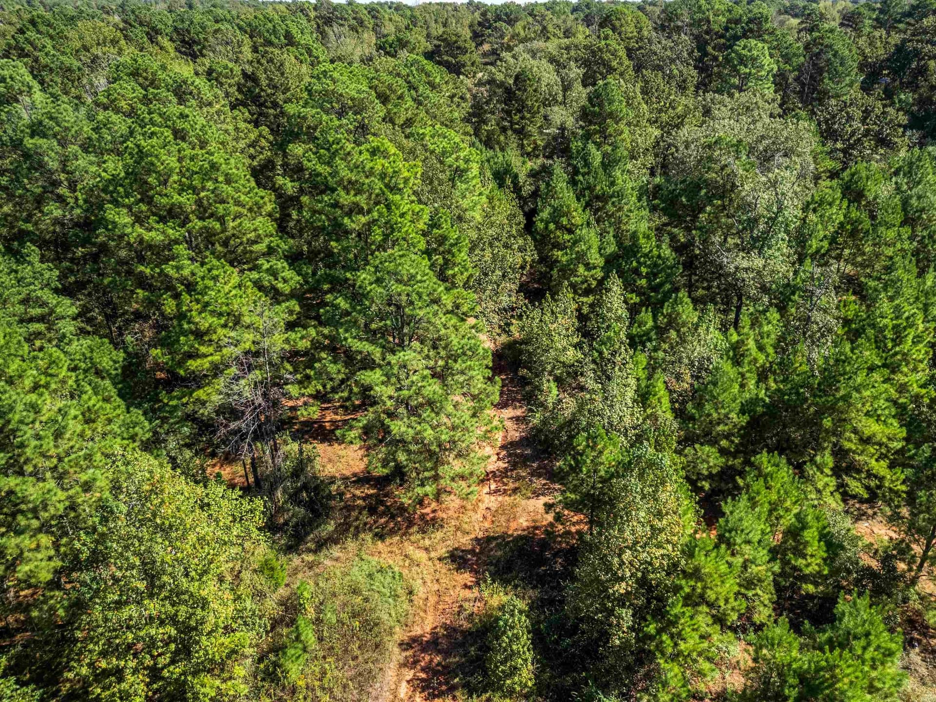 21.23 acres in Texas County - photo 11