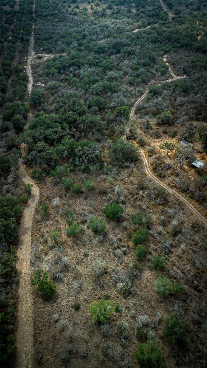 20.67 acres in Bee County gallery image 4